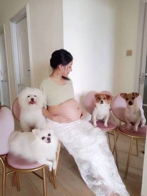 孕妇可以接触宠物吗