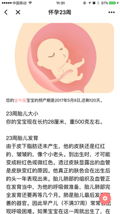 怀孕120天是多少周