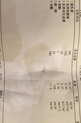 排卵期英文