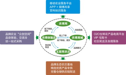 公司经营模式怎么写