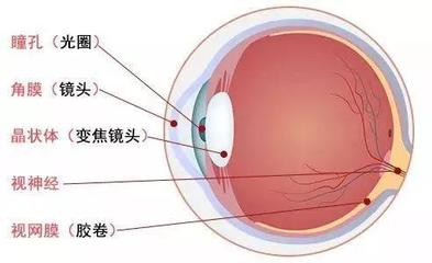 眼睛有重影是怎么回事