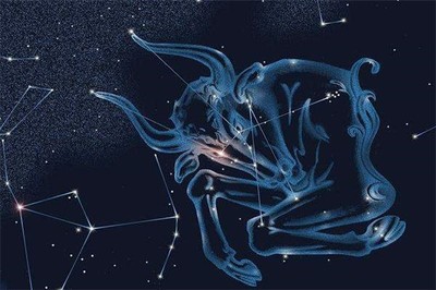世界上有什么星座