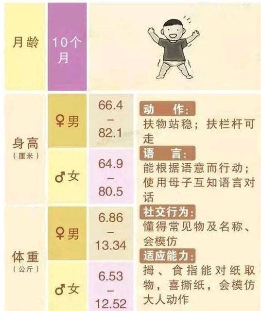 10个月宝宝发育标准
