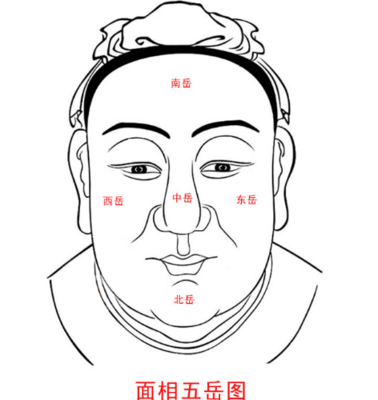 面相学准不准