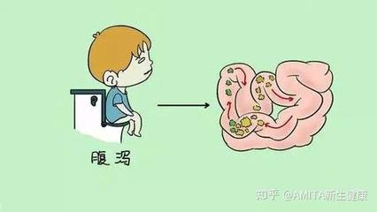 拉肚子不能吃什么东西