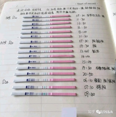 怎么用试纸测怀孕