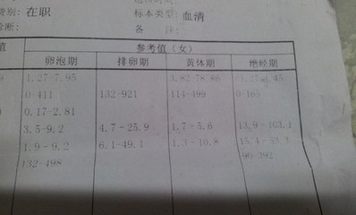 卵泡期 排卵期