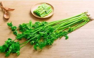 经常吃芹菜可以减肥吗