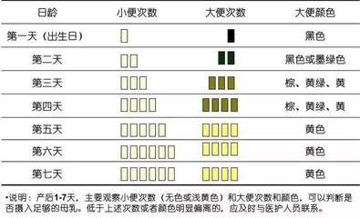 新生儿大小便次数多少正常