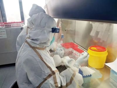 疾控专家提醒汛期积极预防虫媒传染病