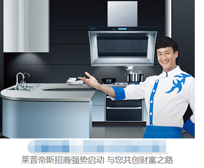 莱普厨房电器代言人