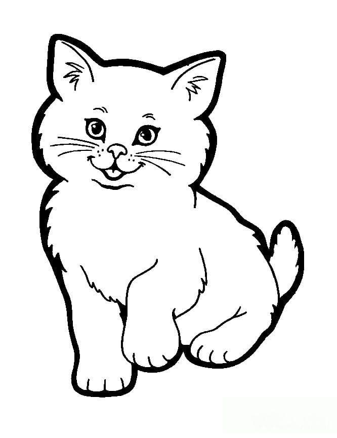 猫猫简笔画 