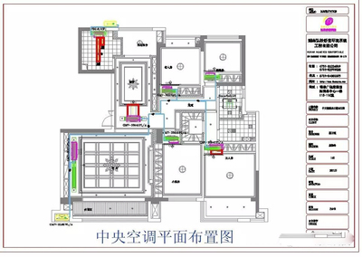 平面设计可以在政府哪个单位