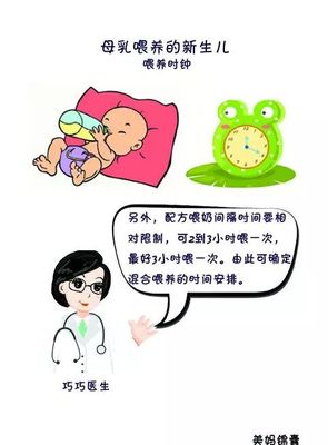 新生儿喂养次数