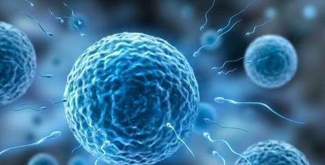 精子有血丝是怎么回事