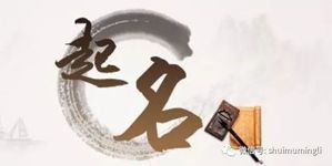 煌字取名配什么字好
