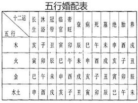 五行查询表及属相