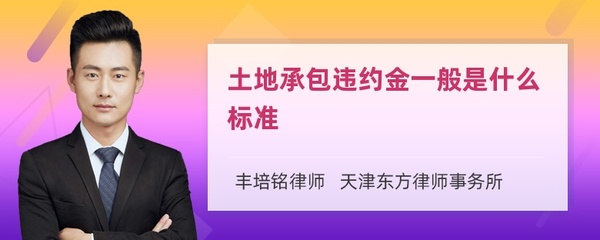 土地承包违约金标准