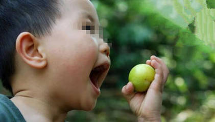 一岁宝宝能吃李子吗