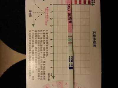 围排卵期是什么意思