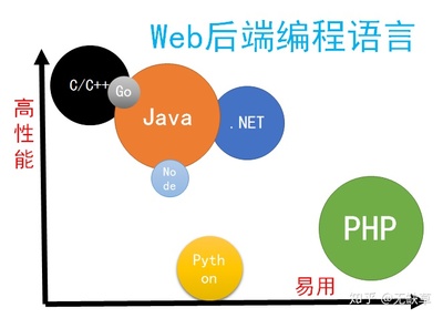 开发网站语言(哪些语言常用于网站开发)