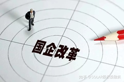 国企法人