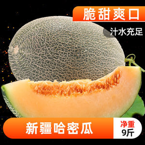 网纹瓜孕妇能吃吗