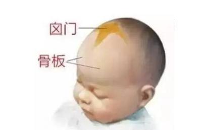 宝宝卤门在什么位置