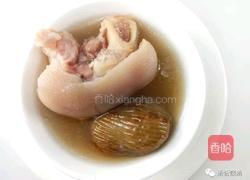 怀孕猪蹄汤的做法大全