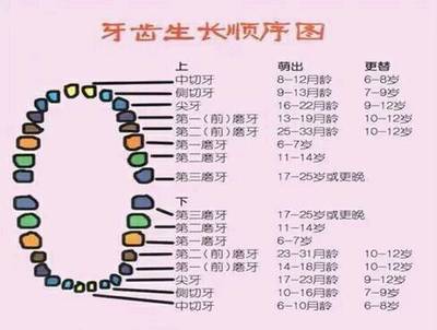 新生儿长牙时间