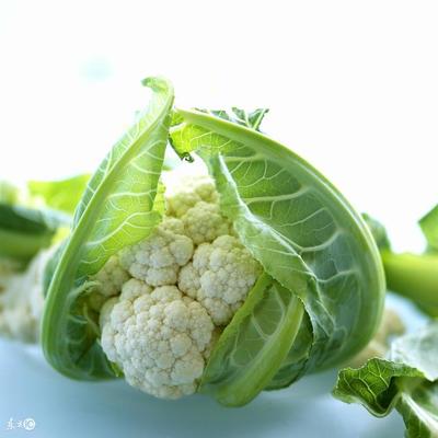 孕妇能吃花菜