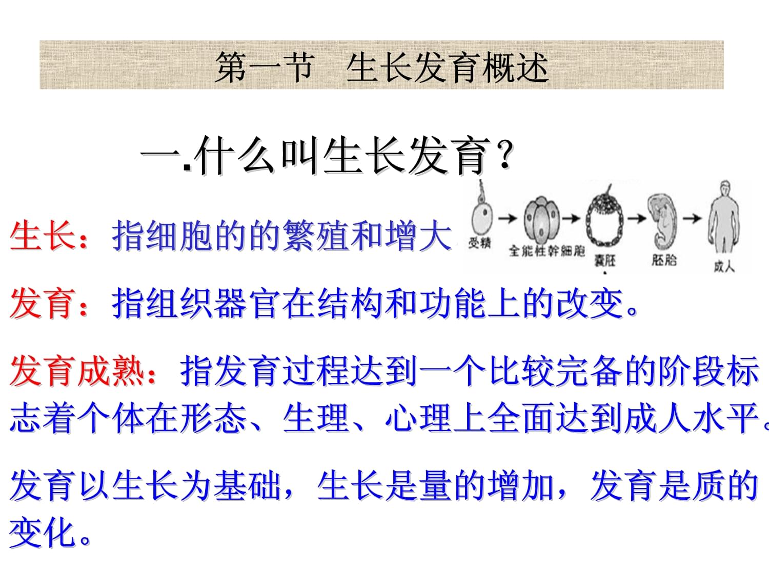 学前儿童生长发育的规律是什么