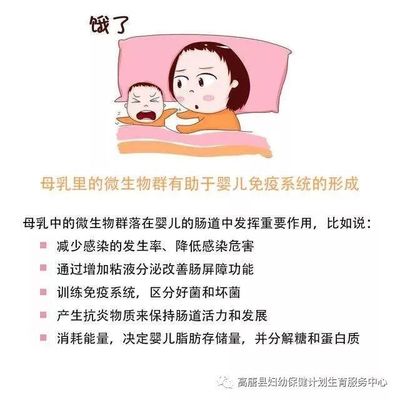 新生儿饿了就要喂奶吗