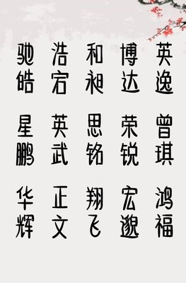 属猪男孩名字大全