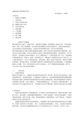 壁挂炉营销策划