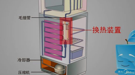 冰箱的内部结构