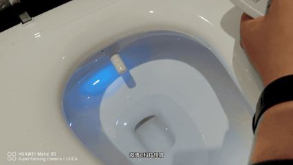 不冲水的马桶