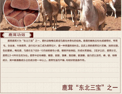 血鹿茸的功效与作用吃法