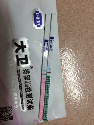 怀孕试条