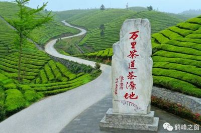 中国茶叶之乡