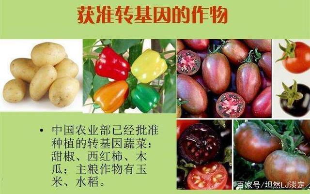 我国水稻是转基因的吗