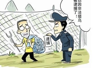 构成犯罪的四个要件