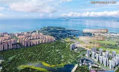 清水湾房价