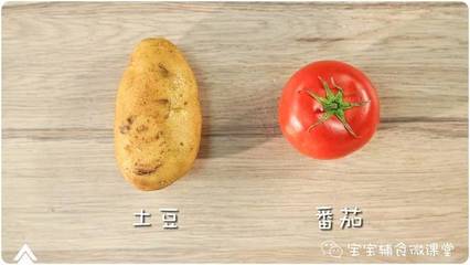 七个月的宝宝可以吃西红柿吗