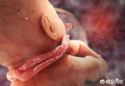 怀孕30周胎动频繁正常吗