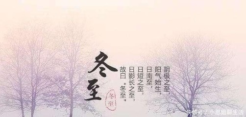 今年什么时候开始数伏