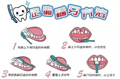 两岁宝宝多少颗牙齿