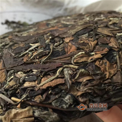普洱茶怎么保存