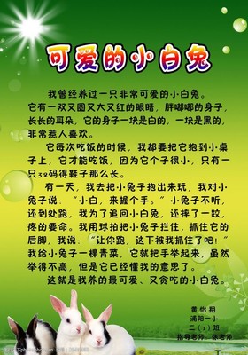 兔子怎么吃东西作文四百字