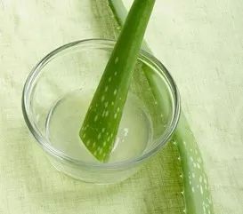 能用芦荟直接涂痘痘吗